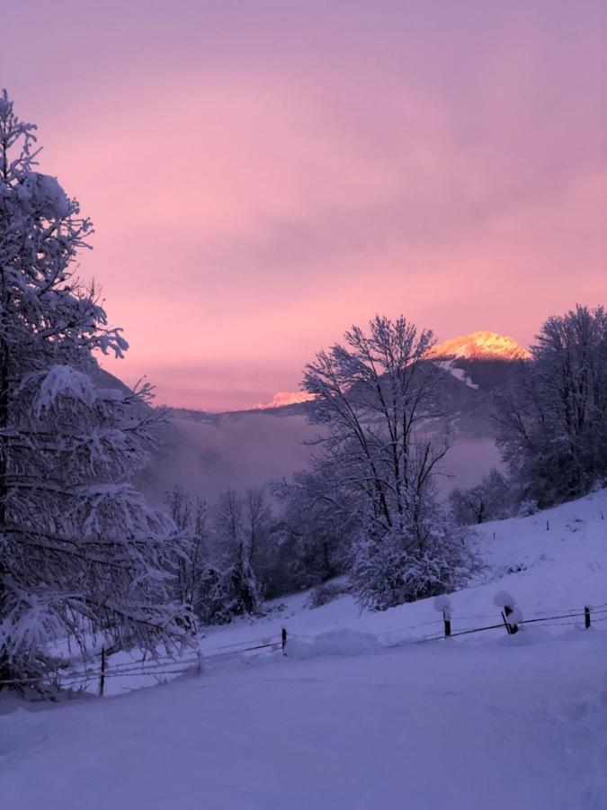 Chapamama Bed and Breakfast Aillon-le-Vieux Εξωτερικό φωτογραφία